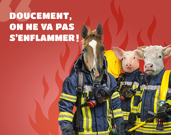 UNE SAGA SOIGNÉE POUR BIMEDA OCTAVET