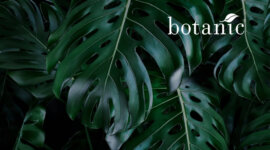 DIGITAL (site web)