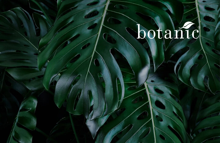 DIGITAL (site web)