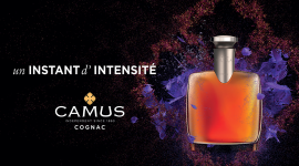 Stratégie & Image de Marque pour la Maison Camus