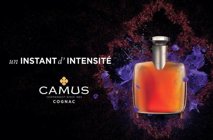 Stratégie & Image de Marque pour la Maison Camus