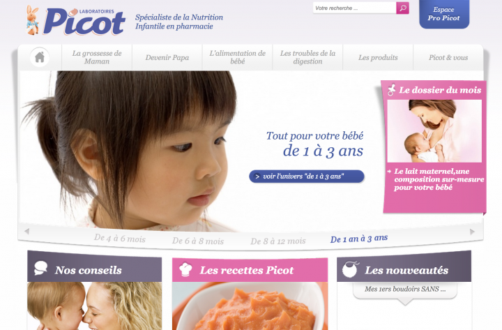 Picot : stratégie media online