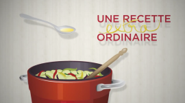 ONIDOL – Les Huiles Végétales – Case study