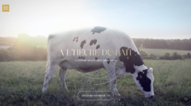 Webdocumentaire immersif