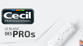 Cecil Professionnel – Brand identity & Packaging
