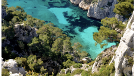 Campagne digital – I Protect Nature