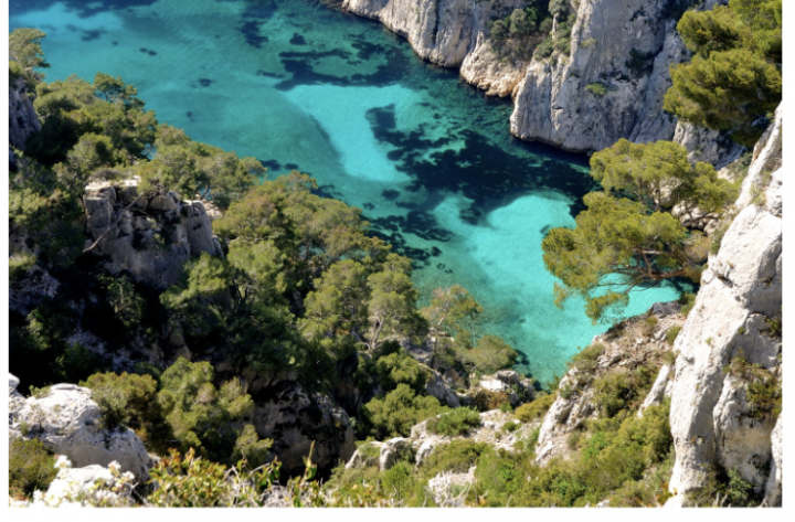 Campagne digital – I Protect Nature