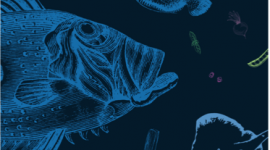 Fish Book