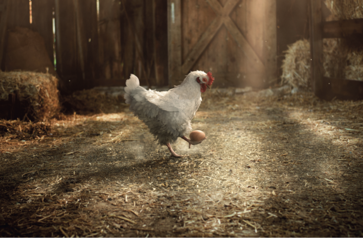 Campagne film – KFC FC