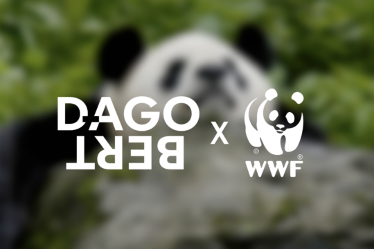 Dagobert remporte WWF en digital et social media