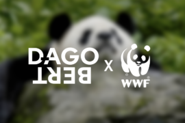 Dagobert remporte WWF en digital et social media