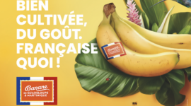 L’UGPBAN présente (toujours) fièrement : la Banane Française ! Campagne affichage