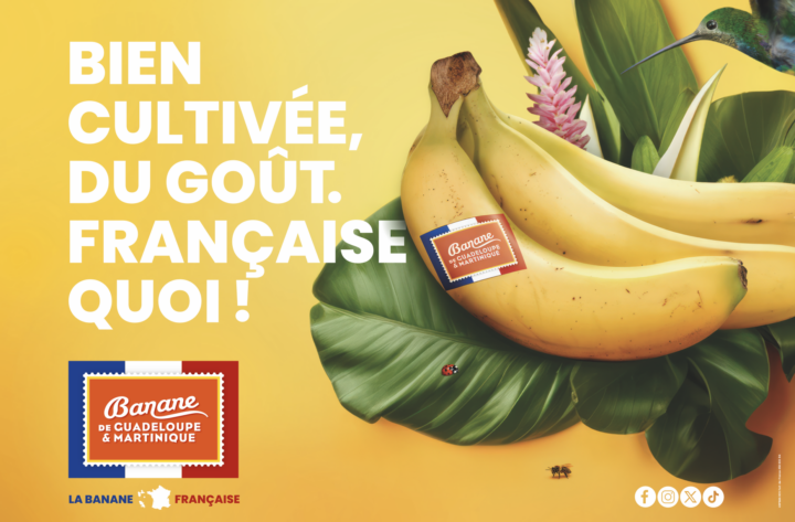 L’UGPBAN présente (toujours) fièrement : la Banane Française ! Campagne affichage