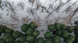 Analyse de l&rsquo;écosystème climat sur le web social
