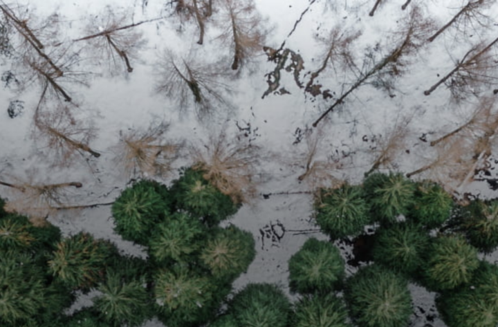 Analyse de l&rsquo;écosystème climat sur le web social