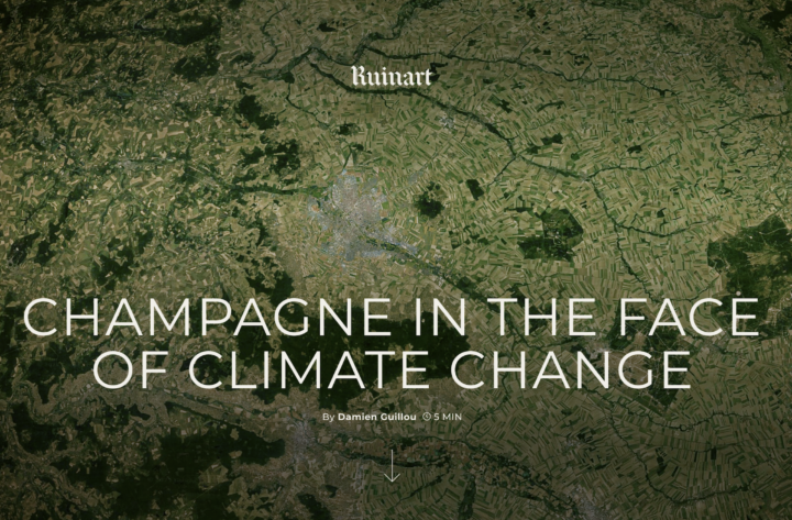 Site Web – Ruinart – Impact Climatique