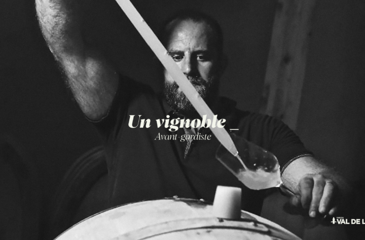 Vins du Val de Loire : Tous les vins sont dans sa nature