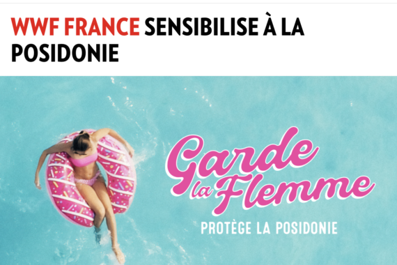 CB News – WWF France sensibilise à la posidonie