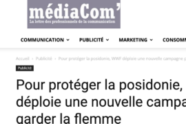Médiacom – Pour protéger la posidonie, WWF déploie une nouvelle campagne pour garder la flemme