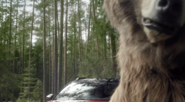 CAMPAGNE SOME OURS