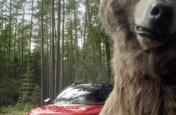 CAMPAGNE SOME OURS