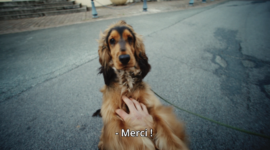 ACTEE en campagne 360 pour dire MERCI !