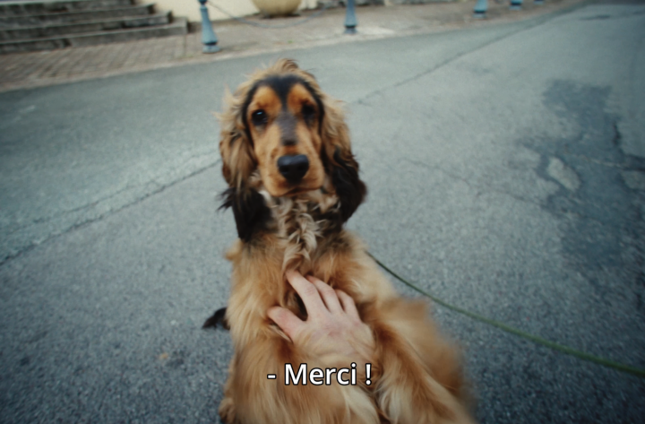 ACTEE en campagne 360 pour dire MERCI !