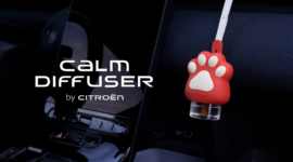 Calm Diffuser