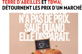 CB NEWS – Terre d&rsquo;Abeilles