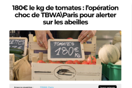 Dans Ta Pub – Terre d&rsquo;Abeilles