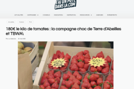 JUPDLC – Terre d&rsquo;Abeilles