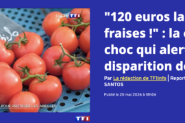 TF1 – Terre d&rsquo;Abeilles
