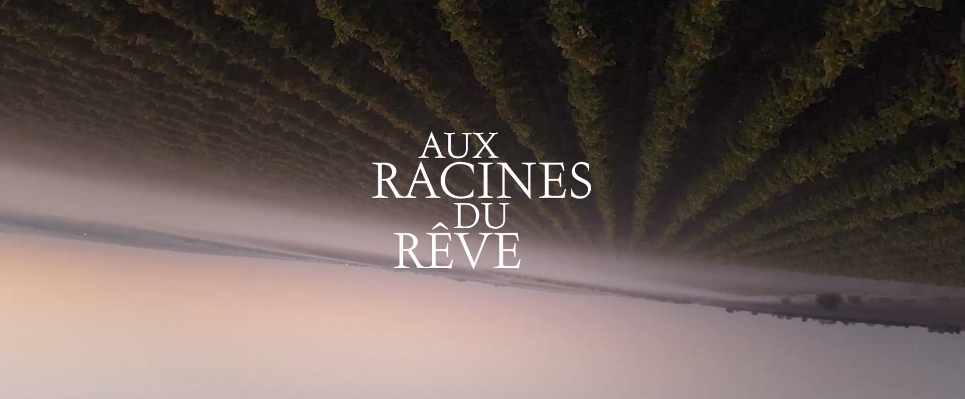 « AUX RACINES DU RÊVE »,  LA 6ᵉ ÉDITION DES JOURNÉES PARTICULIÈRES DE LVMH