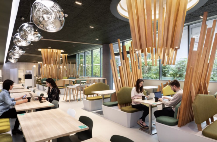 Territoire & concept architectural – Roots