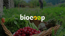 Repenser la stratégie media de Biocoop pour travailler trafic et image de marque