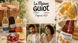 DEFINITION DE LA STRATEGIE SOCIAL MEDIA ET CAMPAGNE INFLUENCE