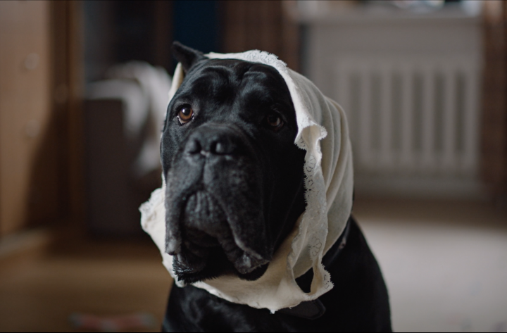 Campagne film – Ohmydog