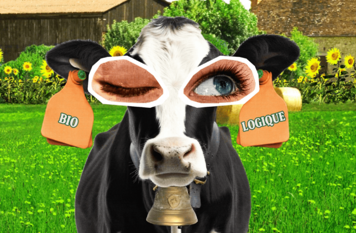 Les produits laitiers bio, c’est bio… logique !