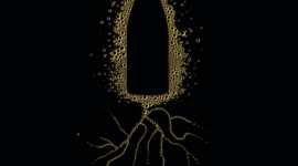 Enraciné depuis 1899…