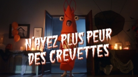 Film publicitaire Delpierre – crevettes et poisson