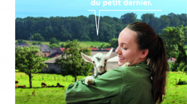 La Quête