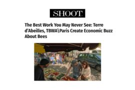 Shoot – Terre d&rsquo;Abeilles