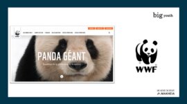 Site corporate fundraising
