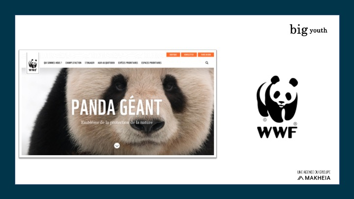 Site corporate fundraising