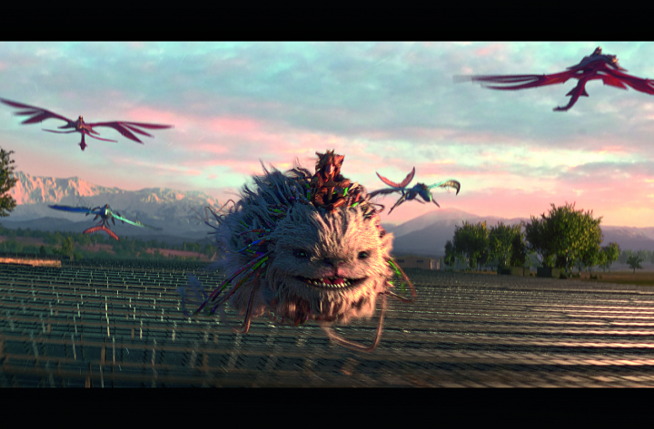 Campagne film – The Race