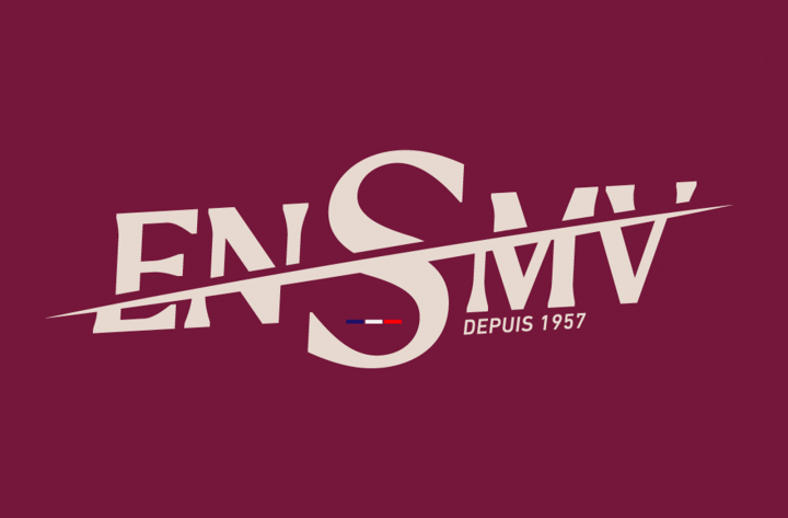 Identité visuelle