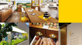 Nouvelle identité – Fleurance Nature