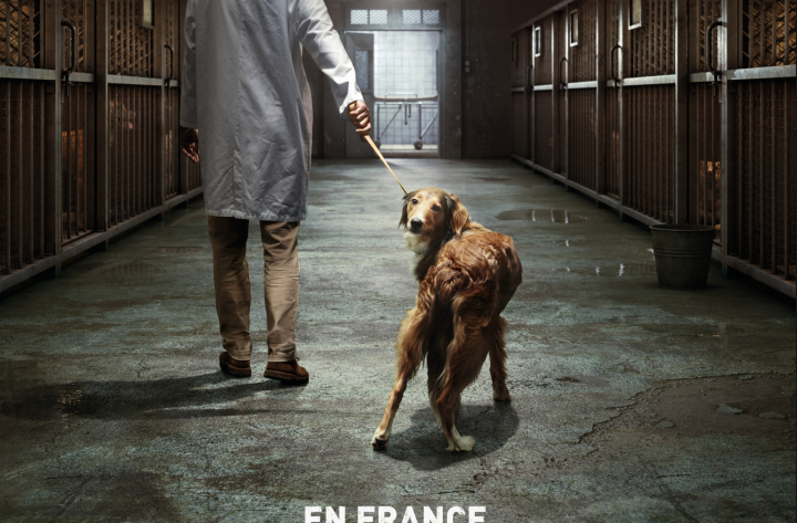 Campagne Print – Le couloir de la mort