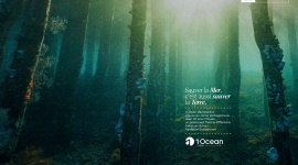 Campagne d’affichage d’appel aux dons “Sauver la Mer, c’est aussi sauver la Terre”