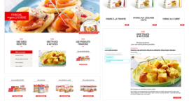 Site web